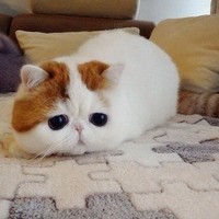 Екатерина Касаткина
