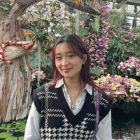 Amy Deng