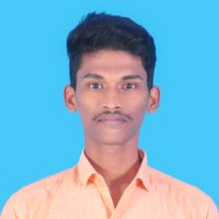 Raja P