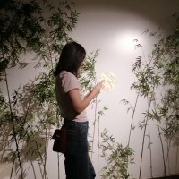 Tiffany Wu