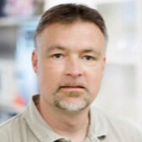 Martin Sandberg