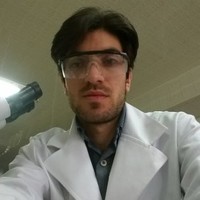 Mohsen Abedi