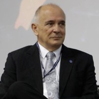 Luiz A P  Martinho