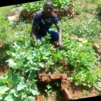 Edward Omondi