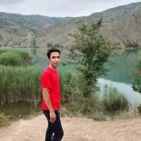 Ali Daroodi