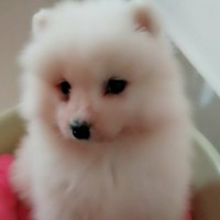黄兴琼