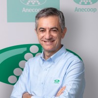 ANGEL DEL PINO
