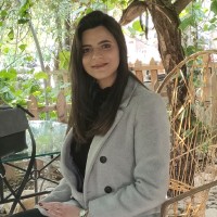 Hanedi Msaddak