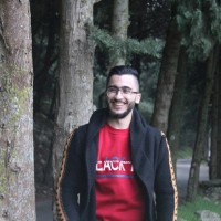 Ali Hammoud