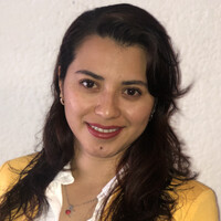 Ing. Ana Gabriela Ramirez Velazquez