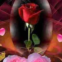 Eng. Zaid