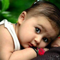 Navya Nalluri