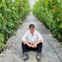 Homero Sibaja Gutiérrez