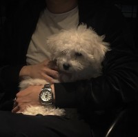 Mimo .