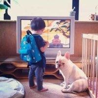 顾鹏飞