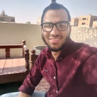 Mohamed Hesham