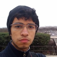 Luiz Paulo C. Alves