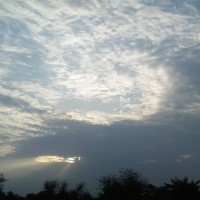 Pooja Rathore