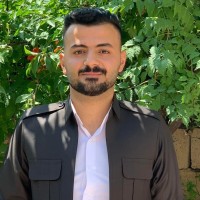 Ary Ibrahim