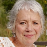 Anne Boyer