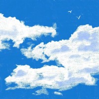 贾可欣