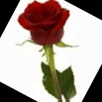 Noor A