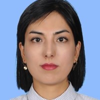 Elnaz Ghasemi