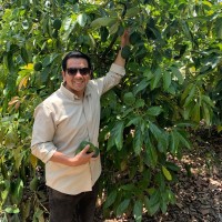 Daniel Falla Hernandez