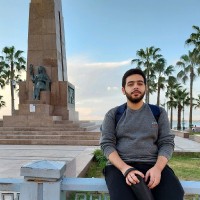 Mohamed El-Meslemany