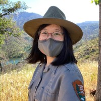 Y. Sara Ye