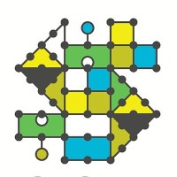 Surveillance Studies Network