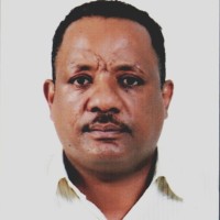 TEWAHDE B. BELHU