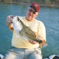 Walter Link
