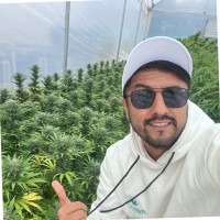 Sebastian Vargas