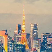张君宝