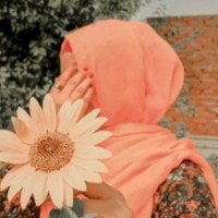 Saira Faizan