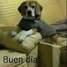Juan Varela