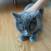 陈伟龙