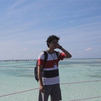 Free Gu