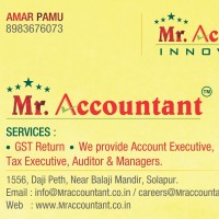 Mr. Accountant