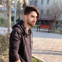 amir mohsen rajabi