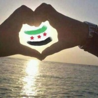 Shaymaa Abd el-shafy