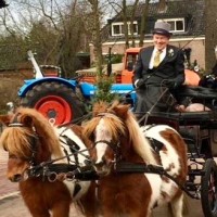 Rein Hazelaar