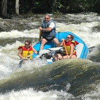 Tracy Downs