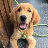 江淑洁