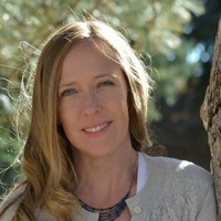 Lisa N. Erickson