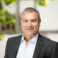stephen diamond