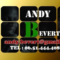 Andy Bevert