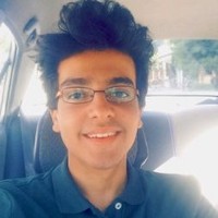 Amro M. El-Metaafy