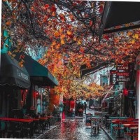 رقية الدوسرى